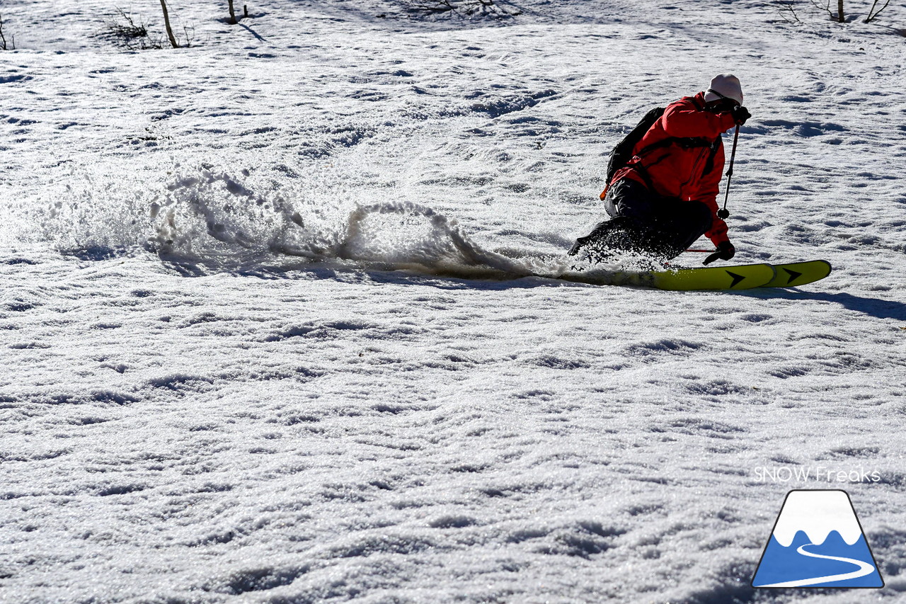 ニセコグラン・ヒラフ DYNASTAR SKI TEST RIDE DAYS Photo Session!!最高の天気に恵まれたニセコに、最高の仲間たちが集まりました☆